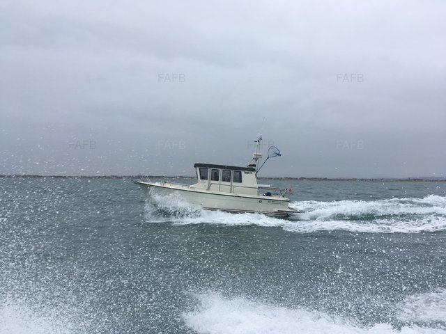 Large picture for advert 105330