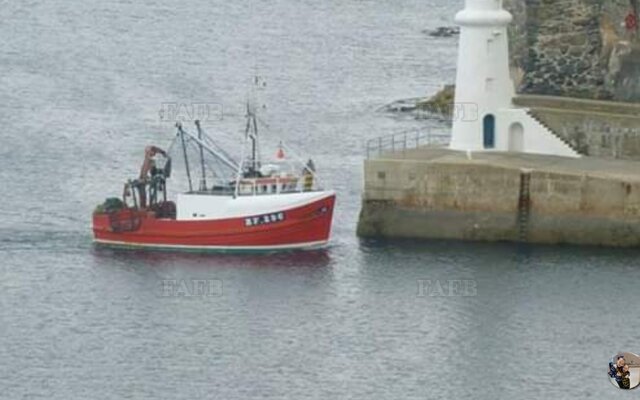 Large picture for advert 111530