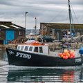 Extra picture for advert 101780