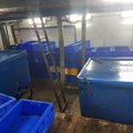 Extra picture for advert 99930