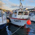 Extra picture for advert 115880
