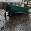 Extra picture for advert 114180