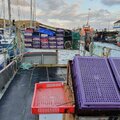 Extra picture for advert 115880
