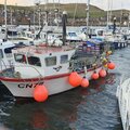 Extra picture for advert 115880