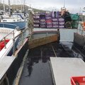 Extra picture for advert 115880